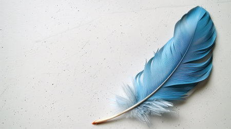 A blue feather rests on a white background, highlighting its graceful form.の素材