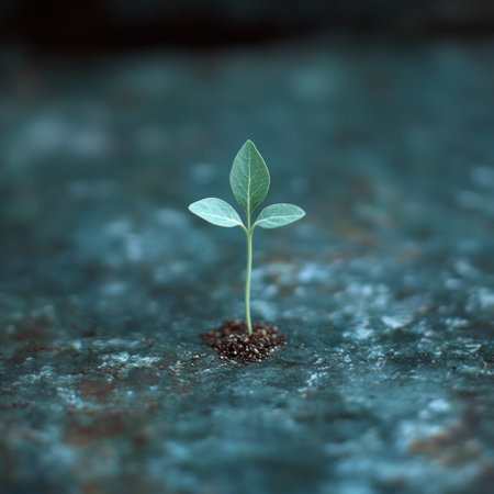 A small green plant sprouts from the dark soil, symbolizing resilience and hope in nature.の素材