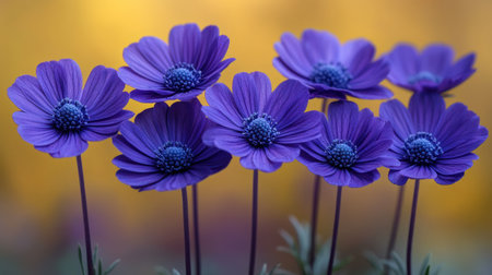 Beautiful purple flowers stand tall, showing their delicate petals under sunlight.の素材