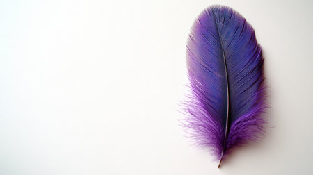 A beautiful purple feather rests on a clean white background, catching the light.の素材