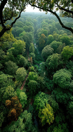 Lush trees stretch endlessly in a serene landscape, with a river flowing gently below.の素材