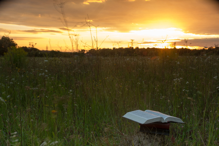 Opened hardback book diary, fanned pages on blurred nature landscape backdrop, lying in summer field on green grass against sunset sky with back light. Copy space, back to school education background.の写真素材