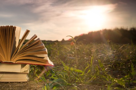 Opened hardback book diary, fanned pages on blurred nature landscape backdrop, lying in summer field on green grass. Books stacking. Copy space, back to school education background.の写真素材