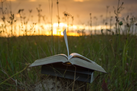 Opened hardback book diary, fanned pages on blurred nature landscape backdrop, lying in summer field on green grass against sunset sky with back light. Copy space, back to school education background.の写真素材