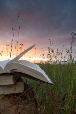 Opened hardback book diary, fanned pages on blurred nature landscape backdrop, lying in summer field on green grass against sunset sky with back light. Copy space, back to school education background.の写真素材