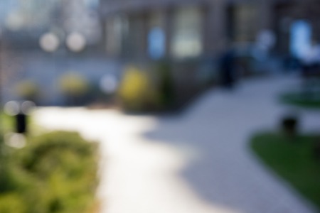 Sunny abstract green nature background, selective focus.の写真素材