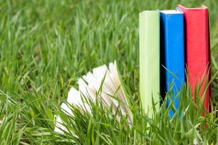 Summer spring backgound with stack of books and open book and bokeh. Back to school. Open book fanned pages. Copy Spaceの写真素材