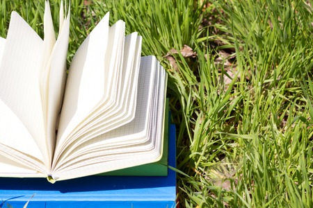 Summer spring backgound with stack of books and open book and bokeh. Back to school. Open book...