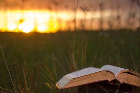 Opened hardback book diary, fanned pages on blurred nature landscape backdrop, lying in summer field on green grass against sunset sky with back light. Copy space, back to school education background.の写真素材