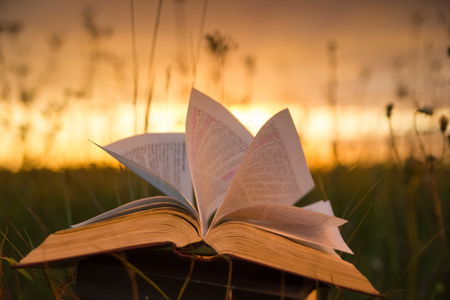 Opened hardback book diary, fanned pages on blurred nature landscape backdrop, lying in summer field on green grass against sunset sky with back light. Copy space, back to school education background.の写真素材