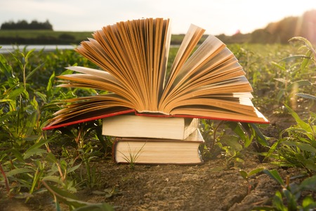 Opened hardback book diary, fanned pages on blurred nature landscape backdrop, lying in summer field on green grass. Books stacking. Copy space, back to school education background.の写真素材