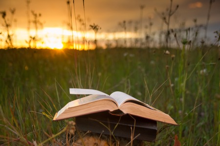 Opened hardback book diary, fanned pages on blurred nature landscape backdrop, lying in summer field on green grass against sunset sky with back light. Copy space, back to school education background.の写真素材