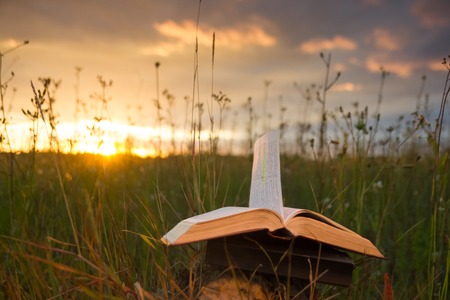 Opened hardback book diary, fanned pages on blurred nature landscape backdrop, lying in summer field on green grass against sunset sky with back light. Copy space, back to school education background.の写真素材