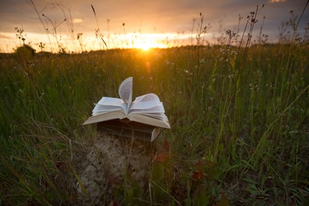 Opened hardback book diary, fanned pages on blurred nature landscape backdrop, lying in summer field on green grass against sunset sky with back light. Copy space, back to school education background.の写真素材