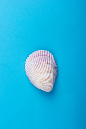Summer sea vacation background. Notebook blank page with Travel items on blue table. Sea shells, pebbles, top view mockupの写真素材
