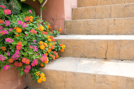 Flowers beside the stairs