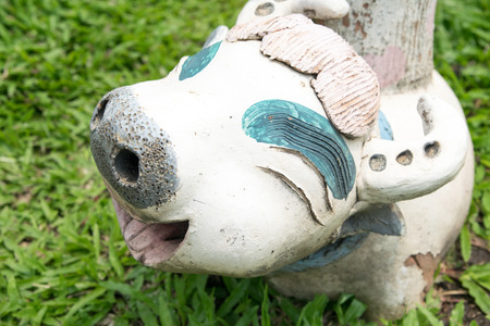 close up cute smiling buffalo dollの写真素材