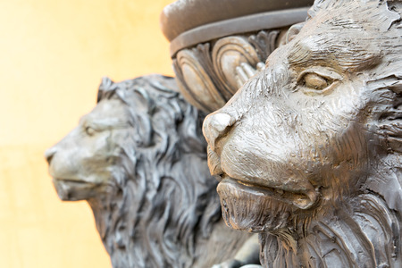 Close up lion head statue