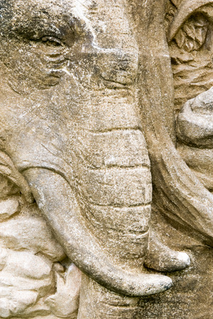 close up elephant face stone backgroundの写真素材