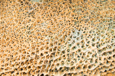 close up old cement pattern backgroundの写真素材