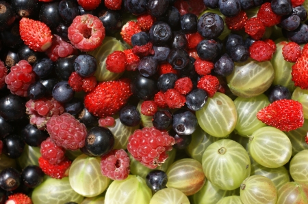 Fresh Photo read berries natural lightの写真素材