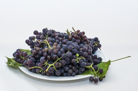 Grapes grown roof  Harvested in October, the Latvian  Assembled on a white dish  You can eat fresh, tap, wine production の写真素材
