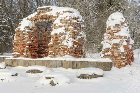 Elejas manor castle ruins in the park in winter. Without people.