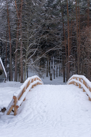 Tourist path. Wooden bridge over a small winter, the frozen river forestの写真素材