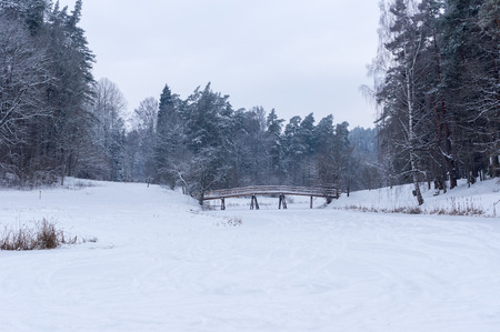 Tourist path. Wooden bridge over a small winter, the frozen river forestの写真素材