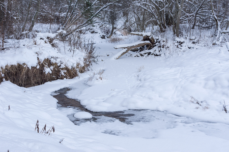 frozen river in the forest of felled trees and iceの写真素材