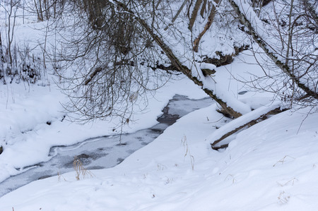 frozen river in the forest of felled trees and iceの写真素材