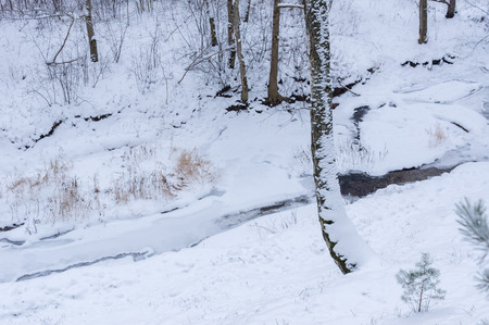 frozen river in the forest of felled trees and iceの写真素材