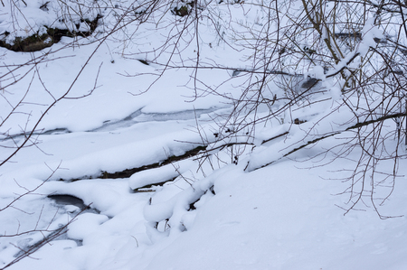 frozen river in the forest of felled trees and iceの写真素材