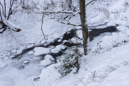 frozen river in the forest of felled trees and iceの写真素材