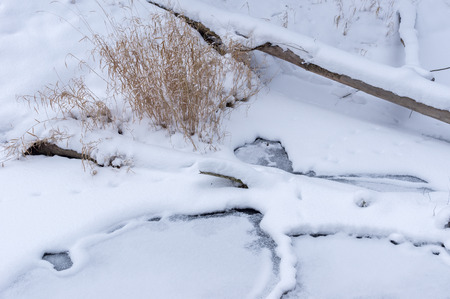 frozen river in the forest of felled trees and iceの写真素材