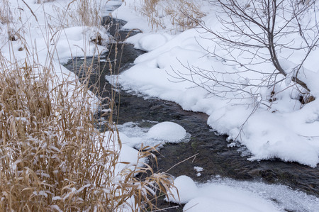 frozen river in the forest of felled trees and iceの写真素材
