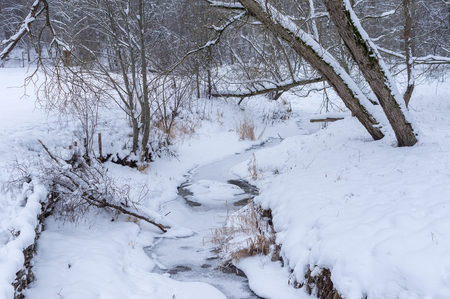 frozen river in the forest of felled trees and iceの写真素材