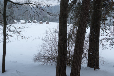 Historical peasant huts snowy winter forest in the meadow in winterの写真素材