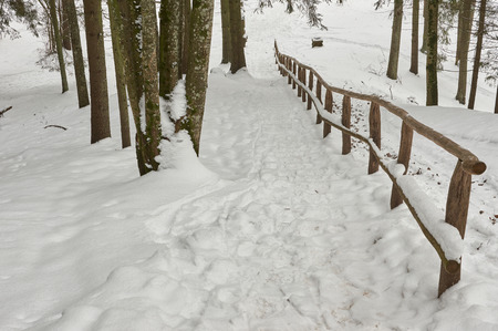 Snow-covered tourist wooden stairs in a forest in winter, without peopleの写真素材