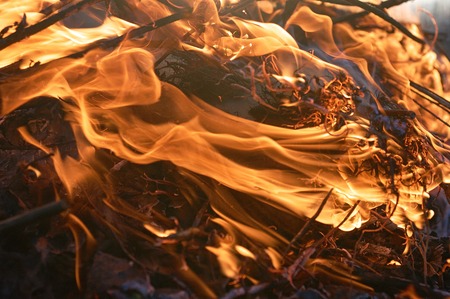 Bonfire flame with high flames close to the big smoke