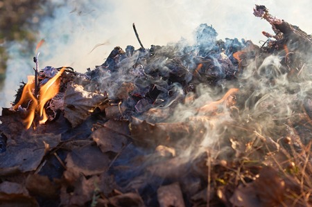 Bonfire flame with high flames close to the big smokeの写真素材