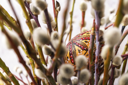 Painted Easter Egg hanging from a Pussy Willow branch                               の写真素材