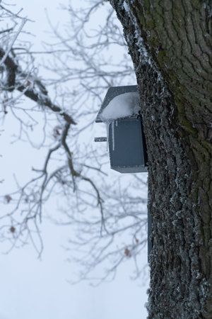 The birdcage is covered with snow and ice in the winter. Selective focus. Winter day.