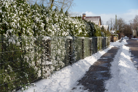 View of a small Latvian town in winter on a sunny evening, with trees, bushes, fences, greenery, piles of snow and ice, different focus, different framings, sidewalk and roadway, old buildingsの写真素材