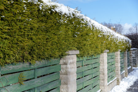 View of a small Latvian town in winter on a sunny evening, with trees, bushes, fences, greenery, piles of snow and ice, different focus, different framings, sidewalk and roadway, old buildingsの写真素材