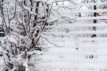 A chain link fence covered in snow photographed from the front, snow stuck to and frozen into the fence details, a yard photographed through the fence during a snowfall, weather conditions snowfall, from a close distanceの写真素材