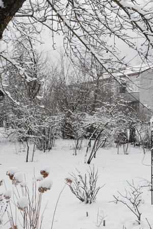 A building photographed from the garden in winter with a differentiated focus, cloudy day, snowy weather conditions, the garden is covered in a thick layer of snow, snow-covered trees in the foregroundの写真素材