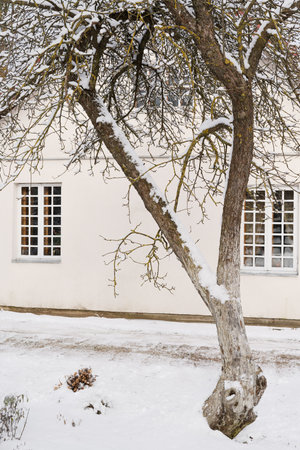 A building photographed from the garden in winter with a differentiated focus, cloudy day, snowy weather conditions, the garden is covered in a thick layer of snow, snow-covered trees in the foregroundの写真素材