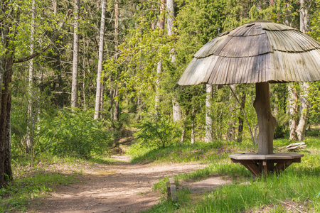 Tervete Nature Park, Latvia, tourist recreation area in the forest, mushroom-shaped canopy, built of wood, with a bench next to the trail, near a cliff with stairs, sunny weather in early springの写真素材