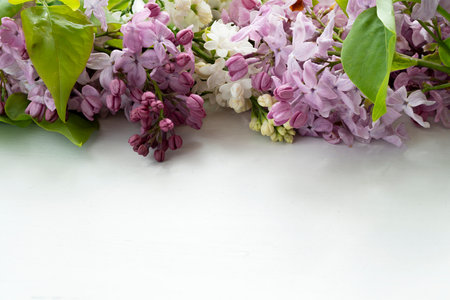 lilac flower branches arranged on a white table in a row, empty space in front, flowers in the back, photographed from a low angle, natural lightingの写真素材